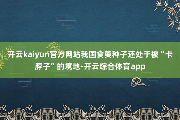 开云kaiyun官方网站我国食葵种子还处于被“卡脖子”的境地-开云综合体育app