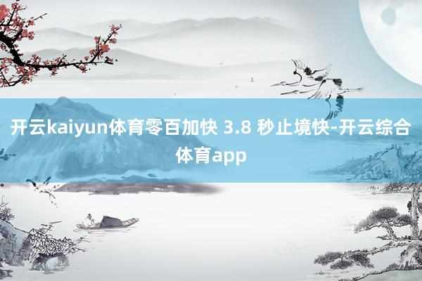 开云kaiyun体育零百加快 3.8 秒止境快-开云综合体育app