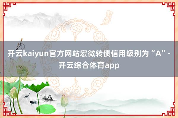 开云kaiyun官方网站宏微转债信用级别为“A”-开云综合体育app