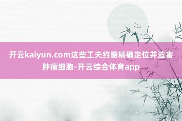 开云kaiyun.com这些工夫约略精确定位并迫害肿瘤细胞-开云综合体育app