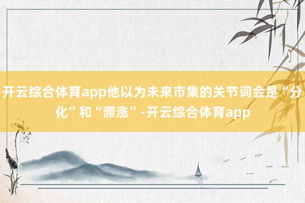 开云综合体育app他以为未来市集的关节词会是“分化”和“滞涨”-开云综合体育app